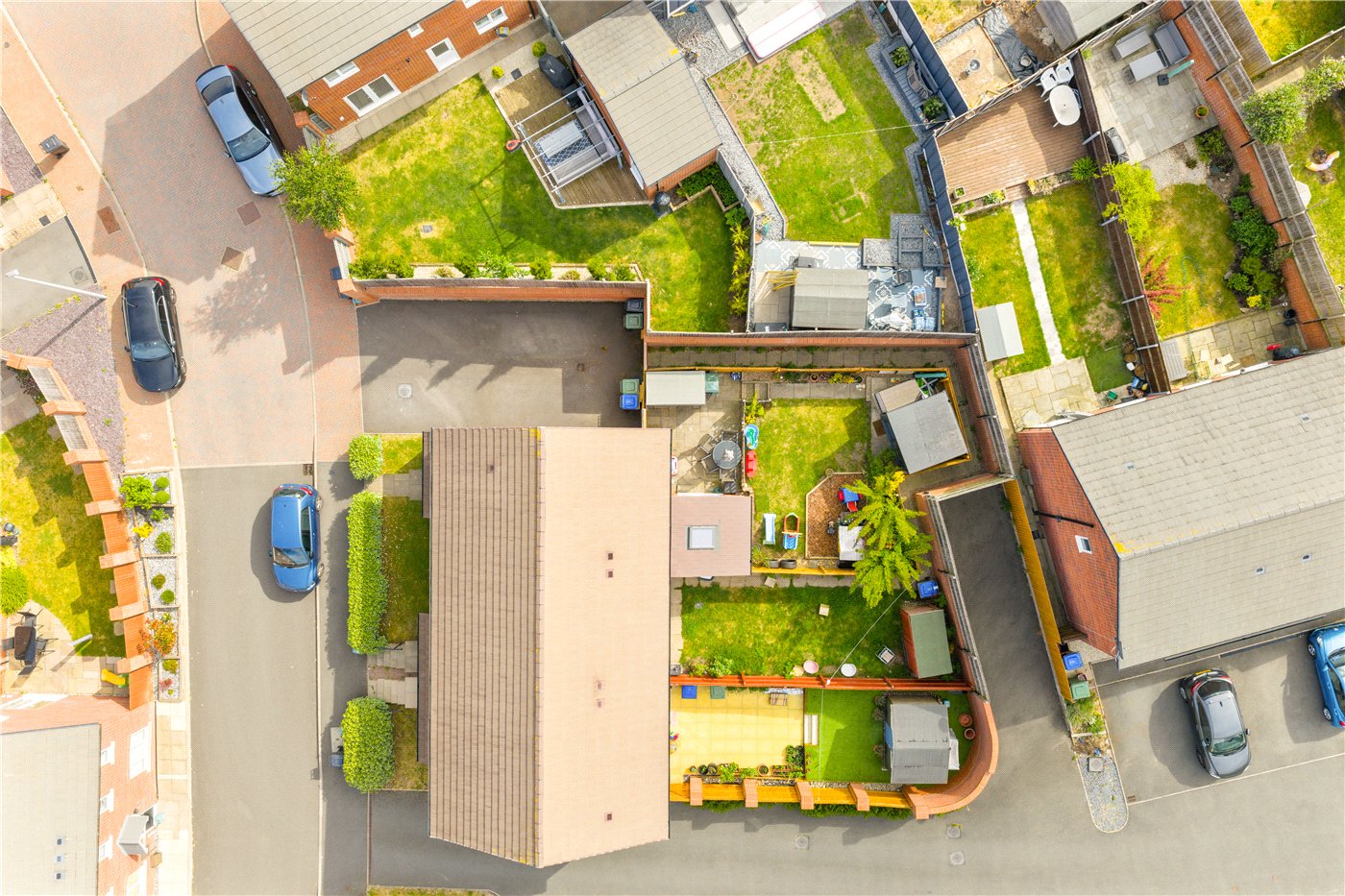 Birdseye